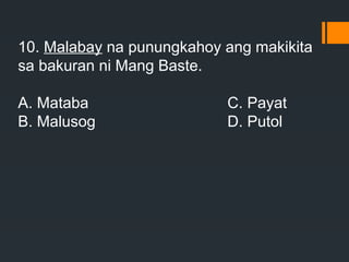 10. Malabay na punungkahoy ang makikita
sa bakuran ni Mang Baste.
A. Mataba C. Payat
B. Malusog D. Putol
 