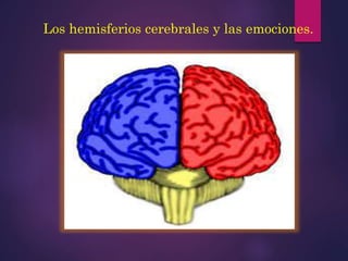 Los hemisferios cerebrales y las emociones.
 