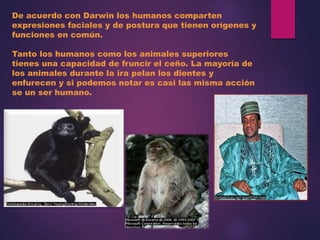 De acuerdo con Darwin los humanos comparten
expresiones faciales y de postura que tienen orígenes y
funciones en común.
Tanto los humanos como los animales superiores
tienes una capacidad de fruncir el ceño. La mayoría de
los animales durante la ira pelan los dientes y
enfurecen y si podemos notar es casi las misma acción
se un ser humano.
 