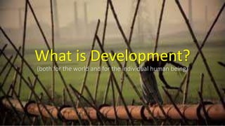 What is Development?
(both for the world and for the individual human being)
 