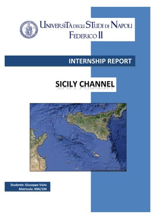 INTERNSHIP REPORT
Studente: Giuseppe Violo
Matricola: N96/194
 