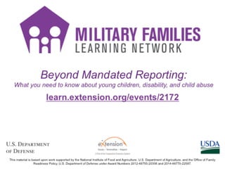 FDEI VLE3 Beyond Mandated Reporting
