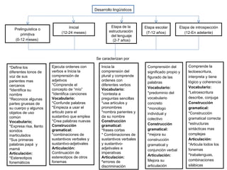 Desarrollo lingüísticos Prelinguistica o primitiva (0-12 meses)  Inicial (12-24 meses) Etapa de la  estructuración  del lenguaje (2-7 años) Etapa escolar (7-12 años) Etapa de introspección (12-En adelante) Se caracterizan por *Define los diferentes tonos de voz de sus parientes mas cercanos *Identifica su nombre *Reconoce algunas partes gruesas de su cuerpo y algunos objetos de uso común  Vocabulario; *Expresa risa, llanto sonidos inarticulados  *Sus primeras palabras papá  y mamá Articulación: *Estereotipos fonemáticos Ejecuta ordenes con verbos e Inicia la comprensión de adjetivos *Comprende el concepto de “mío”  *Identifica canciones Vocabulario: *Confunde palabras *Empieza a usar el articulo para el sustantivo que emplea  *Crea palabras nuevas  Construcción gramatical: *combinaciones de sustantivos verbales y sustantivo-adjetivales Articulación: Continuación de estereotipos de otros fonemas Inicia la comprensi ó n del plural y comprende ordenes con diferentes verbos Vocabulario: *contesta a preguntas sencillas *usa art í culos y pronombres *nombra parientes y da su nombre Construcci ó n gramatical: *frases cortas *   Combinaciones de sustantivos verbales y sustantivo-adjetivales e imperativas Articulaci ó n: * errores de discriminación Comprensión del significado propio y figurado de las palabras Vocabulario: *predominio del vocabulario concreto *monologo individual y colectivo Construcción gramatical: *mejora su construcción gramatical y conjunción verbal Articulación: Mejora su articulación Comprende la lectoescritura, interpreta y tiene lógico y coherencia Vocabulario: *Letroescritura describe, conjuga Construcción gramatical: *Construcción gramatical correcta *estructuras sintácticas mas complejas Articulación: *Articula todos los fonemas  *trabalenguas, combinaciones silábicas 