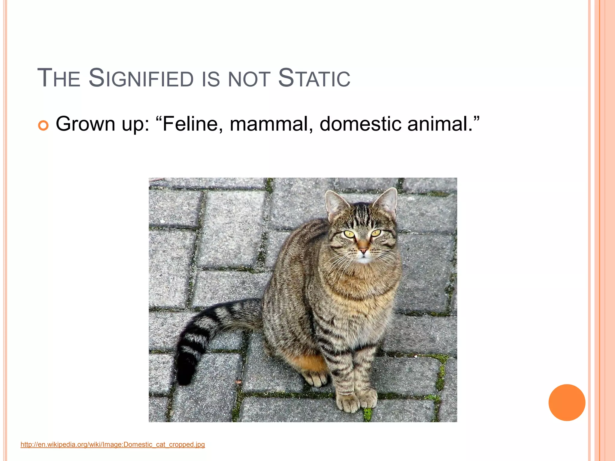 THE SIGNIFIED IS NOT STATIC
          Grown up: “Feline, mammal, domestic animal.”




http://en.wikipedia.org/wiki/Image:Domestic_cat_cropped.jpg
 