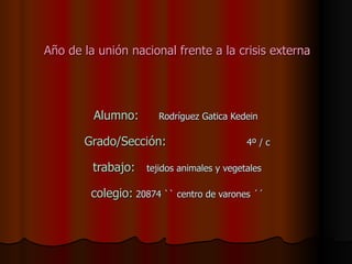 Año de la unión nacional frente a la crisis externa Alumno:   Rodríguez Gatica Kedein  Grado/Sección:   4º / c trabajo:   tejidos animales y vegetales colegio:  20874 `` centro de varones ´´ 