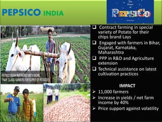 PEPSICO INDIA 
 Contract farming in special 
variety of Potato for their 
chips brand Lays 
 Engaged with farmers in Bih...