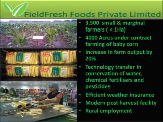 • 3,500 small & marginal 
farmers ( < 1Ha) 
• 4000 Acres under contract 
farming of baby corn 
• Increase in farm output b...
