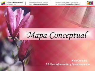 Mapa Conceptual   Katerine Silva T.S.U en Información y Documentación 