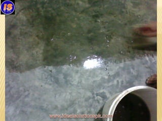 FDL Hattar Epoxy Flooring Project