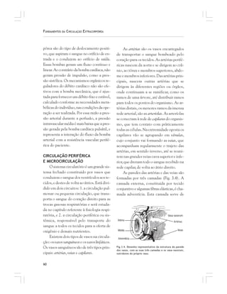 60
FUNDAMENTOS DA CIRCULAÇÃO EXTRACORPÓREA
pórea são do tipo de deslocamento positi-
vo, que aspiram o sangue no orifício de en-
trada e o conduzem ao orifício de saída.
Essas bombas geram um fluxo contínuo e
linear. Aocontráriodabombacardíaca,não
geram pressão de impulsão, como a pres-
são sistólica. Os mecanismos orgânicos re-
guladores do débito cardíaco não são efe-
tivos com a bomba mecânica, que é ajus-
tada para fornecer um débito fixo e estável,
calculado conforme as necessidades meta-
bólicas do indivíduo, nas condições da ope-
ração a ser realizada. Por essa razão a pres-
são arterial durante a perfusão, a pressão
intravascularmédiaémaisbaixaqueapres-
são gerada pela bomba cardíaca pulsátil, e
representa a interação do fluxo da bomba
arterial com a resistência vascular perifé-
rica do paciente.
CIRCULAÇÃO PERIFÉRICA
E MICROCIRCULAÇÃO
Osistemacirculatórioéumgrandesis-
tema fechado constituido por vasos que
conduzemosanguedosventrículosaoste-
cidos, e destes de volta ao átrios. Está divi-
dido em dois circuitos: 1. a circulação pul-
monar ou pequena circulação, que trans-
porta o sangue do coração direito para as
trocas gasosas respiratórias e será estuda-
da no capítulo referente à fisiologia respi-
ratória, e 2. a circulação periférica ou sis-
têmica, responsável pelo transporte do
sangue a todos os tecidos para a oferta de
oxigênio e demais nutrientes.
Existem dois tipos de vasos na circula-
ção: osvasossanguíneos e os vasoslinfáticos.
Os vasos sanguíneos são de três tipos prin-
cipais: artérias, veias e capilares.
As artérias são os vasos encarregados
de transportar o sangue bombeado pelo
coração para os tecidos. As artérias perifé-
ricas nascem da aorta e se dirigem ao crâ-
nio, ao tórax e membros superiores, abdo-
meemembrosinferiores.Dasartériasprin-
cipais, nascem outras artérias que se
dirigem às diferentes regiões ou órgãos,
onde continuam a se ramificar, como os
ramos de uma árvore, até distribuir ramos
para todos os pontos do organismo. As ar-
térias distais, os menores ramos da imensa
rede arterial, são as arteríolas. As arteríolas
se conectam à rede de capilares doorganis-
mo, que tem contato com pràticamente
todasascélulas.Naextremidadeopostaos
capilares vão se agrupando em vênulas,
cujo conjunto vai formando as veias, que
acompanham regularmente o trajeto das
artérias, em sentido inverso, até se reuni-
rem nas grandes veias cava superior e infe-
rior,quedrenamtodoosanguerecebidona
rede capilar, de volta ao átrio direito.
As paredes das artérias e das veias são
formadas por três camadas (Fig. 3.4). A
camada externa, constituida por tecido
conjuntivo e algumas fibras elásticas, é cha-
mada adventícia. Esta camada serve de
Fig.3.4. Desenho representativo da estrutura da parede
dos vasos, com as suas três camadas e os vasa-vasorum,
nutridores do próprio vaso.
 