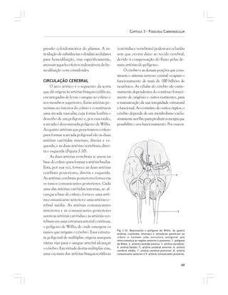 69
CAPÍTULO 3 – FISIOLOGIA CARDIOVASCULAR
pressão coloidosmótica do plasma. A in-
troduçãodesubstânciascoloidaisacelulares
para hemodiluição, visa especìficamente,
atenuar aqueles efeitos indesejáveis da he-
modiluição com cristaloides.
CIRCULAÇÃO CEREBRAL
O arco aórtico é o segmento da aorta
que dá origem às artérias braquiocefálicas,
encarregadas de levar o sangue ao crânio e
aos membros superiores. Estas artérias pe-
netram no interior do crânio e constituem
uma arcada vascular, cuja forma lembra o
desenho de um polígono e, por essa razão,
a arcada é denominada polígono de Willis.
Asquatroartériasquepenetramnocrânio
para formar a arcada poligonal são as duas
artérias carótidas internas, direita e es-
querda, e as duas artérias vertebrais, direi-
ta e esquerda (Figura 3.10).
As duas artérias vertebrais se unem na
basedocrânioparaformaraartériabasilar.
Esta, por sua vez, fornece as duas artérias
cerebrais posteriores, direita e esquerda.
As artérias cerebrais posteriores fornecem
os ramos comunicantes posteriores. Cada
uma das artérias carótidas internas, ao al-
cançar a base do crânio, fornece uma arté-
riacomunicanteanterioreumaartériace-
rebral média. As artérias comunicantes
anteriores e as comunicantes posteriores
unemasartériascarótidaseasartériasver-
tebraisemumaestruturaarterialcontínua,
o polígono de Willis, de onde emergem os
ramos que irrigam o cérebro. Essa estrutu-
ra poligonal de múltiplas origens assegura
várias vias para o sangue arterial alcançar
océrebro.Emvirtudedestasmúltiplasvias,
uma ou mais das artérias braquiocefálicas
(carótidasevertebrais)podemserocluidas
sem que ocorra dano ao tecido cerebral,
devido à compensação do fluxo pelas de-
mais artérias do polígono.
Océrebroeasdemaisporçõesquecons-
tituem o sistema nervoso central ocupam o
funcionamento de mais de 100 bilhões de
neurônios. As células do cérebro são extre-
mamente dependentes do contínuo forneci-
mento de oxigênio e outros nutrientes, para
a manutenção da sua integridade estrutural
efuncional.Aocontráriodeoutrosórgãos,o
cérebro depende de um metabolismo exclu-
sivamenteaeróbioparaproduziraenergiaque
possibilita o seu funcionamento. Por essa ra-
Fig 3.10. Representa o polígono de Willis. As quatro
artérias (carótidas internas) e vertebrais penetram no
crânio e formam uma estrutura poligonal que
intercomunica as regiões anterior e posterior. 1. polígono
de Willis; 2. artéria carótida interna; 3. artéria vertebral;
4. artéria basilar; 5. artéria cerebral anterior; 6. artéria
cerebral média; 7. artéria cerebral posterior; 8. artéria
comunicante anterior e 9. artéria comunicante posterior.
 