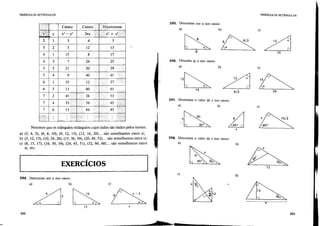 Fundamentos da Matematica Elementar 9 geometria plana