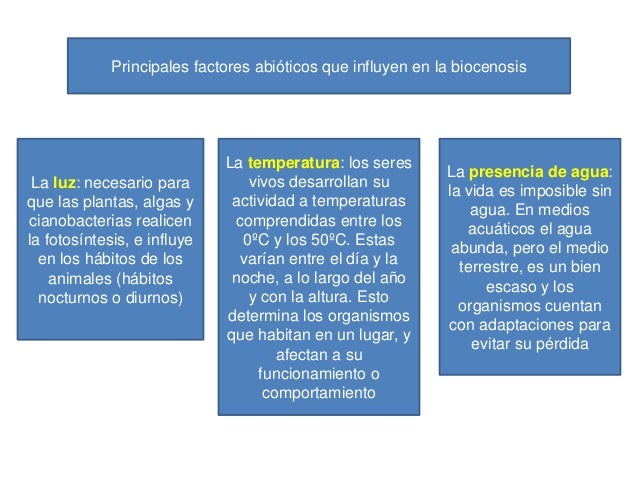 Los ecosistemas