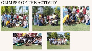 GLIMPSE OF THE ACTIVITY
 
