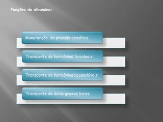 Funções da albumina:
Manutenção da pressão osmótica.
Transporte de hormônios tiroideais.
Transporte de hormônios lipossolúveis.
Transporte de ácido graxos livres.
 