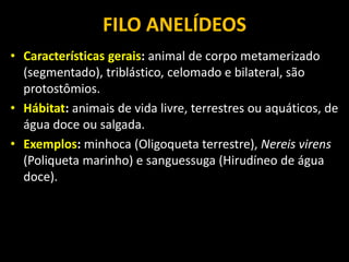 fdocumentos.tips_aula-de-zoologia-invertebrados-power-point.ppt