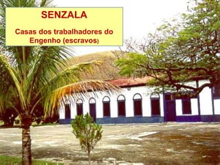 ENGENHO
CANAVIAL
CASA
GRANDE
SENZALA
O ENGENHO
GRANDE QUINTA ONDE SE PRODUZIA AÇÚCAR
CANAVIAL
Plantação da cana-de-açúcar
ENGENHO
Máquina que tira o açúcar da
cana
CASA GRANDE
Casa do dono do Engenho,
onde vivia com a família
SENZALA
Casas dos trabalhadores do
Engenho (escravos)
 