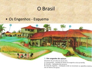 O Brasil
• Os Engenhos - Esquema
 