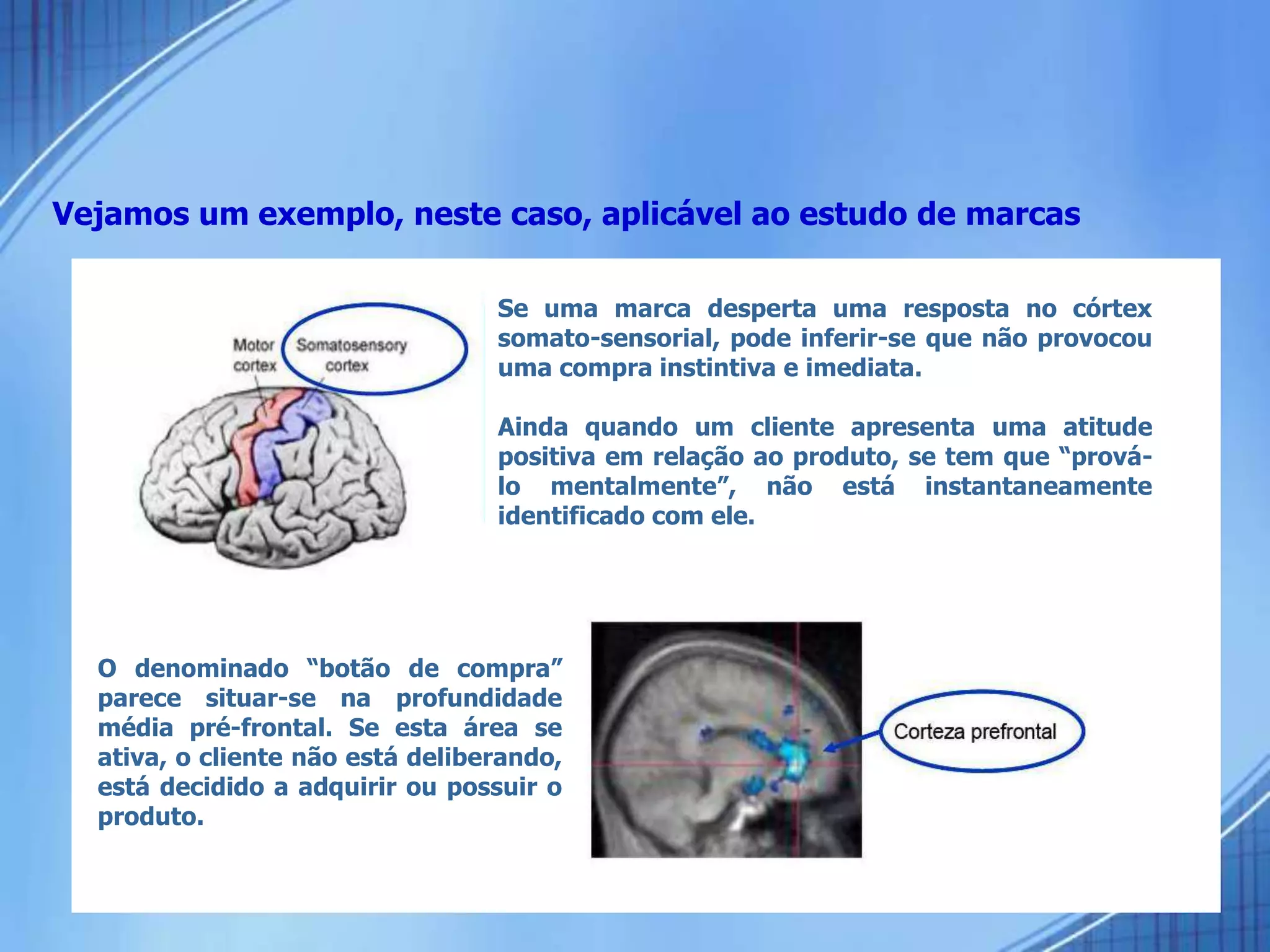 Vejamos um exemplo, neste caso, aplicável ao estudo de marcas
Se uma marca desperta uma resposta no córtex
somato-sensorial, pode inferir-se que não provocou
uma compra instintiva e imediata.
Ainda quando um cliente apresenta uma atitude
positiva em relação ao produto, se tem que “prová-
lo mentalmente”, não está instantaneamente
identificado com ele.
O denominado “botão de compra”
parece situar-se na profundidade
média pré-frontal. Se esta área se
ativa, o cliente não está deliberando,
está decidido a adquirir ou possuir o
produto.
 