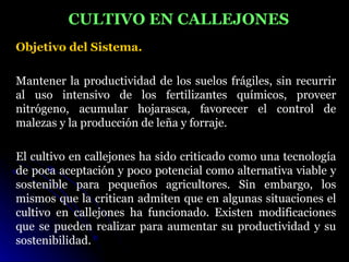 CULTIVO EN CALLEJONES
Objetivo del Sistema.

Mantener la productividad de los suelos frágiles, sin recurrir
al uso intensivo de los fertilizantes químicos, proveer
nitrógeno, acumular hojarasca, favorecer el control de
malezas y la producción de leña y forraje.

El cultivo en callejones ha sido criticado como una tecnología
de poca aceptación y poco potencial como alternativa viable y
sostenible para pequeños agricultores. Sin embargo, los
mismos que la critican admiten que en algunas situaciones el
cultivo en callejones ha funcionado. Existen modificaciones
que se pueden realizar para aumentar su productividad y su
sostenibilidad.
 