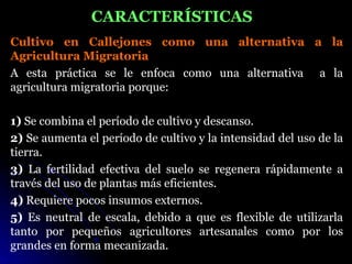 CARACTERÍSTICAS
Cultivo en Callejones como una alternativa a la
Agricultura Migratoria
A esta práctica se le enfoca como una alternativa a la
agricultura migratoria porque:

1) Se combina el período de cultivo y descanso.
2) Se aumenta el período de cultivo y la intensidad del uso de la
tierra.
3) La fertilidad efectiva del suelo se regenera rápidamente a
través del uso de plantas más eficientes.
4) Requiere pocos insumos externos.
5) Es neutral de escala, debido a que es flexible de utilizarla
tanto por pequeños agricultores artesanales como por los
grandes en forma mecanizada.
 