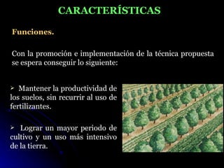 CARACTERÍSTICAS

Funciones.

Con la promoción e implementación de la técnica propuesta
se espera conseguir lo siguiente:


  Mantener la productividad de
los suelos, sin recurrir al uso de
fertilizantes.

  Lograr un mayor periodo de
cultivo y un uso más intensivo
de la tierra.
 