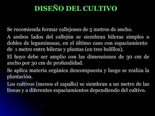 DISEÑO DEL CULTIVO

Se recomienda formar callejones de 5 metros de ancho.
A ambos lados del callejón se siembran hileras simples o
dobles de leguminosas, en el último caso con espaciamiento
de 1 metro entre hileras y plantas (en tres bolillos).
El hoyo debe ser amplio con las dimensiones de 30 cm de
ancho por 30 cm de profundidad.
Se aplica materia orgánica descompuesta y luego se realiza la
plantación.
Los cultivos (menos el zapallo) se siembran a un metro de las
líneas y a diferentes espaciamientos dependiendo del cultivo.
 