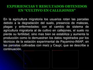 EXPERIENCIAS Y RESULTADOS OBTENIDOS
       EN “CULTIVO EN CALLEJONES”

En la agricultura migratoria los usuarios rotan las parcelas
debido a la degradación del suelo, presencia de malezas,
plagas y enfermedades: con el cambio de sistema de
agricultura migratoria al de cultivo en callejones, el suelo no
pierde su fertilidad, sino mas bien se estabiliza y aumenta la
producción como lo demuestran los datos registrados por los
técnicos de la estación experimental de Payamino-INIAP, en
las parcelas cultivadas con maíz y Caupí, que se describe a
continuación.  file:///C:/Documents%20and%20Settings/PP/Mis%20documentos/Gise/WEB/Dasonomía%20fotos%202_archivos/ecu-6.jpg
                                                                                                                             file:///C:/Documents%20and%20Settings/PP/Mis%20documentos/Gise/WEB/Dasonomía%20fotos%202_archivos/ecu-4.jpg
 