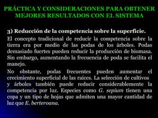 PRÁCTICA Y CONSIDERACIONES PARA OBTENER
   MEJORES RESULTADOS CON EL SISTEMA

3) Reducción de la competencia sobre la superficie.
El concepto tradicional de reducir la competencia sobre la
tierra era por medio de las podas de los árboles. Podas
demasiado fuertes pueden reducir la producción de biomasa.
Sin embargo, aumentando la frecuencia de poda se facilita el
manejo.
No obstante, podas frecuentes pueden aumentar el
crecimiento superficial de las raíces. La selección de cultivos
y árboles también puede reducir considerablemente la
competencia por luz. Especies como G. sepium tienen una
copa y un tipo de hojas que admiten una mayor cantidad de
luz que E. berteroana.
 