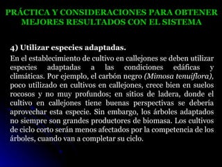 PRÁCTICA Y CONSIDERACIONES PARA OBTENER
   MEJORES RESULTADOS CON EL SISTEMA


4) Utilizar especies adaptadas.
En el establecimiento de cultivo en callejones se deben utilizar
especies adaptadas a las condiciones edáficas y
climáticas. Por ejemplo, el carbón negro (Mimosa tenuiflora),
poco utilizado en cultivos en callejones, crece bien en suelos
rocosos y no muy profundos; en sitios de ladera, donde el
cultivo en callejones tiene buenas perspectivas se debería
aprovechar esta especie. Sin embargo, los árboles adaptados
no siempre son grandes productores de biomasa. Los cultivos
de ciclo corto serán menos afectados por la competencia de los
árboles, cuando van a completar su ciclo.
 