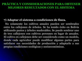 PRÁCTICA Y CONSIDERACIONES PARA OBTENER
   MEJORES RESULTADOS CON EL SISTEMA



7) Adaptar el sistema a condiciones de finca.
 No solamente los cultivos anuales pueden ser sembrados
entre los callejones de árboles. Se ha tenido éxito en Bolivia
utilizando pastos y árboles maderables. Se puede sembrar uno
de tres callejones con cultivos perennes en lugar de anuales.
El cultivo en callejones debe ser considerado como un modelo,
donde cada agricultor puede modificar algunas partes para
satisfacer sus necesidades de producción y adaptarlo a sus
propias condiciones ecológicas y socioeconómicas.
 