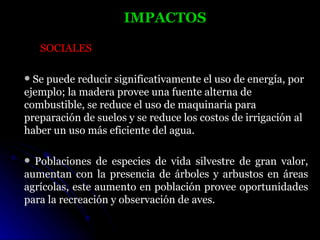 IMPACTOS

    SOCIALES

 Se puede reducir significativamente el uso de energía, por
ejemplo; la madera provee una fuente alterna de
combustible, se reduce el uso de maquinaria para
preparación de suelos y se reduce los costos de irrigación al
haber un uso más eficiente del agua.

 Poblaciones de especies de vida silvestre de gran valor,
aumentan con la presencia de árboles y arbustos en áreas
agrícolas, este aumento en población provee oportunidades
para la recreación y observación de aves.
 