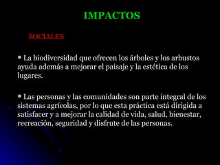 IMPACTOS

    SOCIALES

 La biodiversidad que ofrecen los árboles y los arbustos
ayuda además a mejorar el paisaje y la estética de los
lugares.

 Las personas y las comunidades son parte integral de los
sistemas agrícolas, por lo que esta práctica está dirigida a
satisfacer y a mejorar la calidad de vida, salud, bienestar,
recreación, seguridad y disfrute de las personas.
 