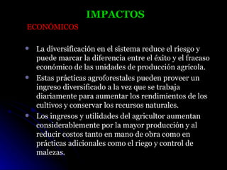 IMPACTOS
ECONÓMICOS

   La diversificación en el sistema reduce el riesgo y
    puede marcar la diferencia entre el éxito y el fracaso
    económico de las unidades de producción agrícola.
   Estas prácticas agroforestales pueden proveer un
    ingreso diversificado a la vez que se trabaja
    diariamente para aumentar los rendimientos de los
    cultivos y conservar los recursos naturales.
   Los ingresos y utilidades del agricultor aumentan
    considerablemente por la mayor producción y al
    reducir costos tanto en mano de obra como en
    prácticas adicionales como el riego y control de
    malezas.
 