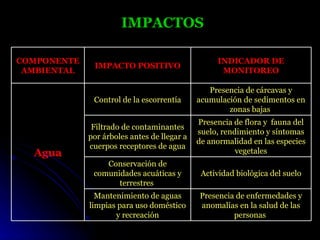 IMPACTOS

COMPONENTE                                        INDICADOR DE
              IMPACTO POSITIVO
 AMBIENTAL                                         MONITOREO

                                                Presencia de cárcavas y
              Control de la escorrentía      acumulación de sedimentos en
                                                     zonas bajas
                                             Presencia de flora y fauna del
              Filtrado de contaminantes
                                             suelo, rendimiento y síntomas
             por árboles antes de llegar a
                                             de anormalidad en las especies
             cuerpos receptores de agua
  Agua                                                  vegetales
                 Conservación de
              comunidades acuáticas y         Actividad biológica del suelo
                    terrestres
               Mantenimiento de aguas        Presencia de enfermedades y
             limpias para uso doméstico      anomalías en la salud de las
                    y recreación                      personas
 