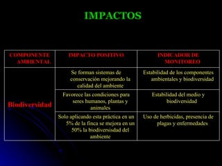 IMPACTOS


COMPONENTE          IMPACTO POSITIVO                       INDICADOR DE
  AMBIENTAL                                                  MONITOREO
                     Se forman sistemas de           Estabilidad de los componentes
                     conservación mejorando la          ambientales y biodiversidad
                        calidad del ambiente
                  Favorece las condiciones para         Estabilidad del medio y
                      seres humanos, plantas y                 biodiversidad
Biodiversidad                 animales
                Solo aplicando esta práctica en un   Uso de herbicidas, presencia de
                   5% de la finca se mejora en un         plagas y enfermedades
                      50% la biodiversisdad del
                              ambiente
 
