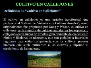 CULTIVO EN CALLEJONES
Definición de “Cultivo en Callejones”

El cultivo en callejones es una práctica agroforestal que
pertenece al Sistema de “Árboles con Cultivos Anuales”, como
originalmente fue propuesta por Kang y Wilson, el cultivo en
callejones es la siembra de cultivos anuales en los espacios o
callejones entre líneas de árboles, generalmente de crecimiento
rápido y fijadores de nitrógeno, que son podados a intervalos
regulares para evitar competencia con los cultivos, proveer
biomasa que suple nutrientes a los cultivos y suprime el
crecimiento de las malezas.
 