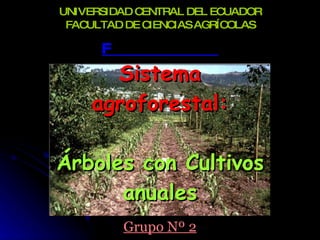 UNIVERSIDAD CENTRAL DEL ECUADOR
 FACULTAD DE CIENCIAS AGRÍCOLAS

      F
      Sistema
    agroforestal:

Árboles con Cultivos
      anuales
          Grupo Nº 2
 