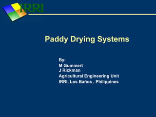 Paddy Drying Systems
By:
M Gummert
J Rickman
Agricultural Engineering Unit
IRRI, Los Baños , Philippines
 