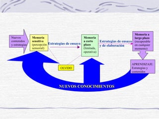 Memoria
sensitiva
(percepción
sensorial)
OLVIDO
APRENDIZAJE:
Estrategias y
contenidos
NUEVOS CONOCIMIENTOS
Estrategias de ensayo
Estrategias de ensayo
y de elaboración
Nuevos
contenidos
y estrategias
Memoria a
largo plazo
(recuperable
en cualquier
momento)
Memoria
a corto
plazo
(limitada,
operativa)
 