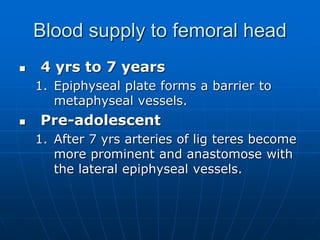 Blood supply to femoral head
 4 yrs to 7 years
1. Epiphyseal plate forms a barrier to
metaphyseal vessels.
 Pre-adolescent
1. After 7 yrs arteries of lig teres become
more prominent and anastomose with
the lateral epiphyseal vessels.
 