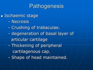 Pathogenesis
 Ischaemic stage
- Necrosis
- Crushing of trabaculae.
- degeneration of basal layer of
articular cartilage
- Thickening of peripheral
cartilagenous cap.
- Shape of head maintained.
 
