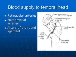 Blood supply to femoral head
 Retinacular arteries
 Metaphyseal
arteries
 Artery of the round
ligament
 