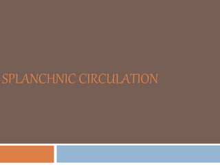 SPLANCHNIC CIRCULATION
 