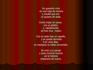 Un gusanito vivía en una hoja de morera y resultó que era  un gusano de seda. Comía hojas sin parar,  era un glotón; y, rápidamente, se hizo muy  mayor. Con su seda hizo un capullo, y se quedó dormido. Y,en unos días,  en mariposa se había convertido. Se unió a su pareja y puso muchos huevos así la historia empezará de nuevo. 