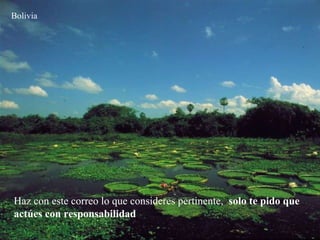 Bolivia Haz con este correo lo que consideres pertinente,  solo te pido que actúes con responsabilidad . 