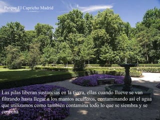 Las pilas liberan sustancias en la tierra, ellas cuando llueve se van filtrando hasta llegar a los mantos acuíferos, contaminando así el agua que utilizamos como también contamina todo lo que se siembra y se cosecha   Parque El Capricho Madrid 