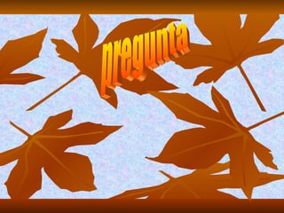 pregunta 
