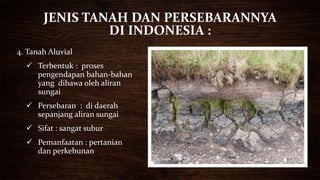 jenis tanah | PPTX