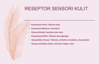 Reseptor Pacini Ruffini fdokumen.com_slide-powerpoint-sistem-koordinasi-kelas-xi-mipa-kurikulum ...